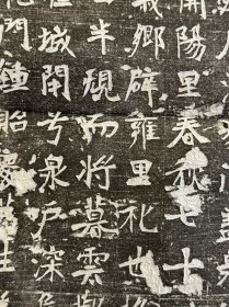 唐孙处士夫人郑氏墓志拓片