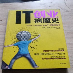 IT创业疯魔史