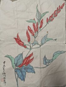 郑益坤画作:鞭炮花 45*34cm