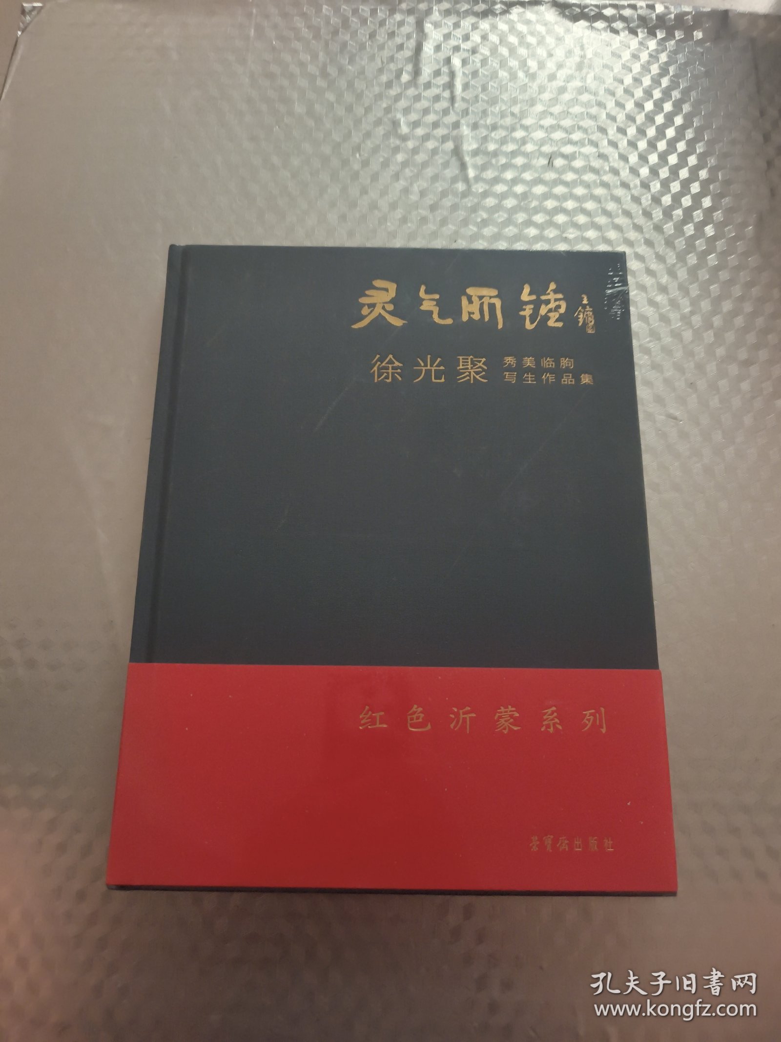 灵气所钟：徐光聚秀美临朐写生作品集