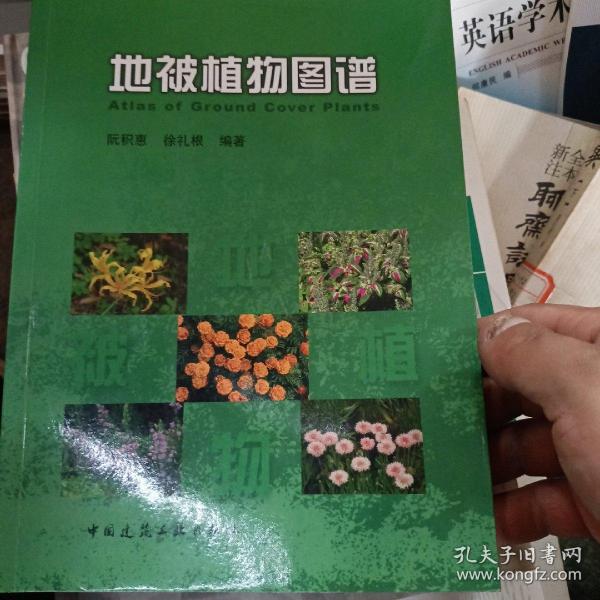 地被植物图谱