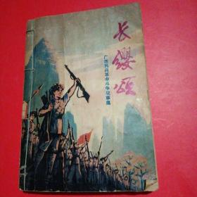 长缨颂 广西民兵革命斗争故事集