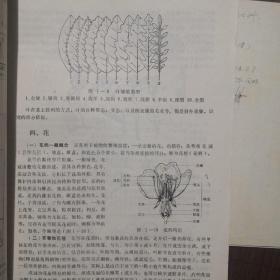 【老教材】上海师大试用教材 中草药学，上海师范大学生物系，1975年编，有毛主席语录