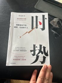 时势  B站百大UP主小Lin说的第一本财经科普书 周期波动下的国家、社会和个人