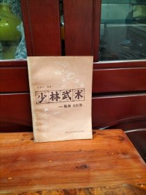 少林武术