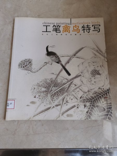 当代工笔画技法解析：工笔禽鸟特写