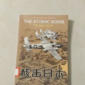 核击日本