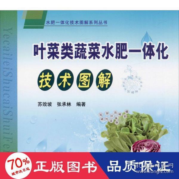 叶菜类蔬菜水肥一体化技术图解