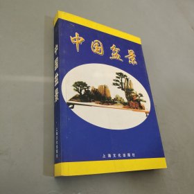 新编中国哲学史    封面及侧页有大头笔图画情况