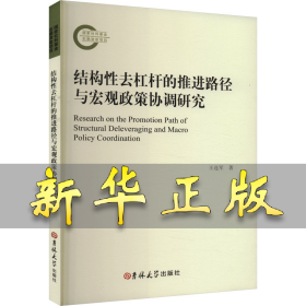 结构性去杠杆的推进路径与宏观政策协调研究 王连军 9787576811643 吉林大学出版社