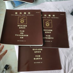 眼科精粹：眼科手术图谱 世界系列 中文版 第一、二、三册