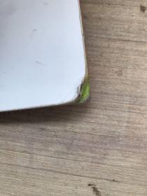 国际大奖科普系列（全6册）斩获20余项国际大奖，数十种国际权威机构赞誉推荐［小狮子的反抗］   （裁剪不齐，破损，如图）