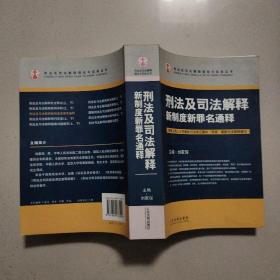 刑法及司法解释新制度新罪名通释