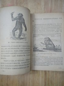 人类在自然界的位置 1971年版 16张实物照片