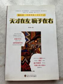 天才在左 疯子在右：国内第一本精神病人访谈手记