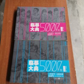 临摹大典5000例：（上下册）