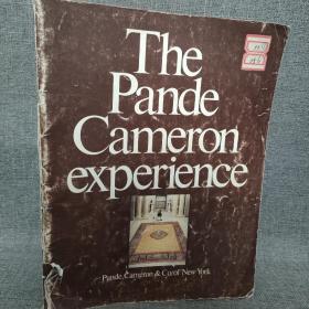 The  Pande Cameron experienc印度地毯