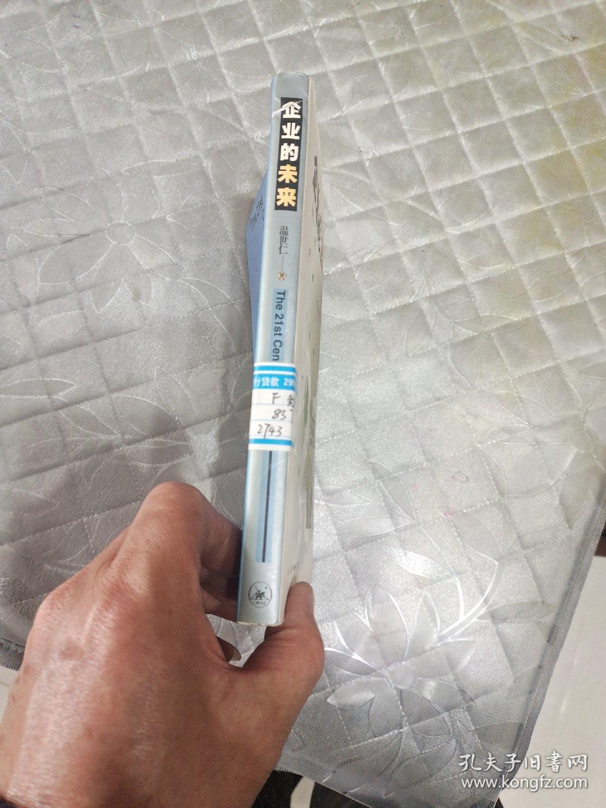 企业的未来