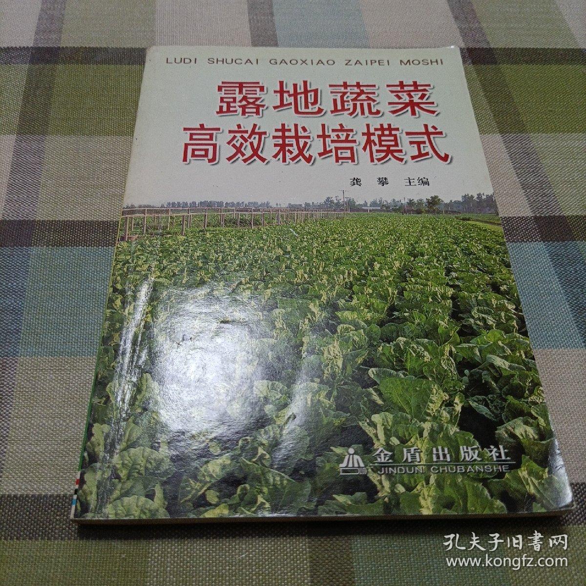 露地蔬菜高效栽培模式