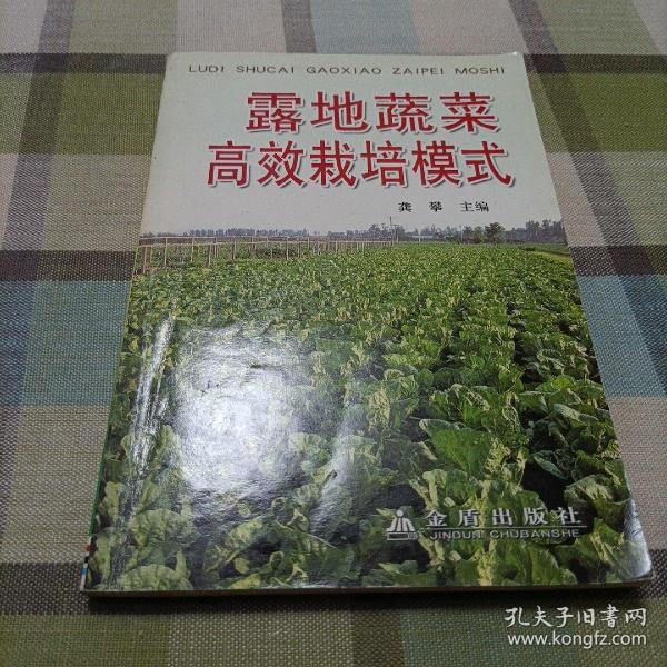 露地蔬菜高效栽培模式