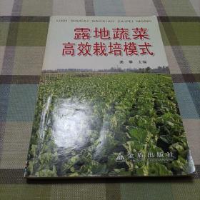 露地蔬菜高效栽培模式