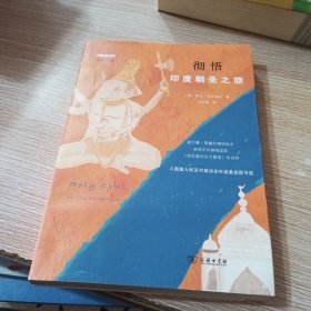 彻悟：印度朝圣之旅(远方译丛)