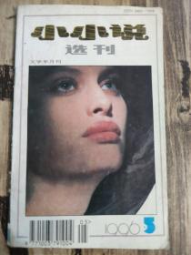 小小说选刊【1996年第5期 】（哨所故事 也想有个家 等内容）