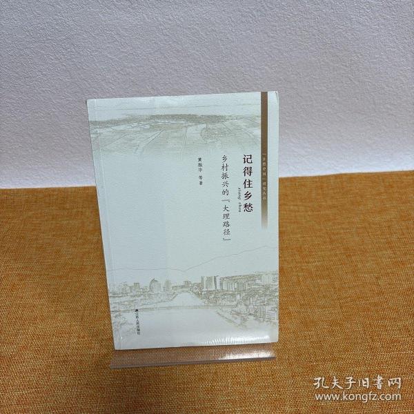 记得住乡愁乡村振兴的大理路径