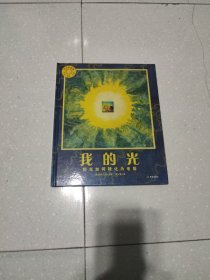 我的光 : 阳光如何转化为电能