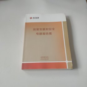 统筹发展和安全专题报告集