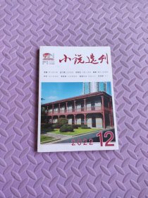 小说选刊2022/12