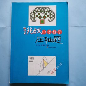 挑战中考数学压轴题