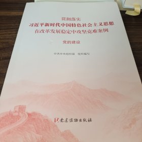 党的建设（贯彻落实习近平新时代中国特色社会主义思想在改革发展稳定中攻坚克难案例）