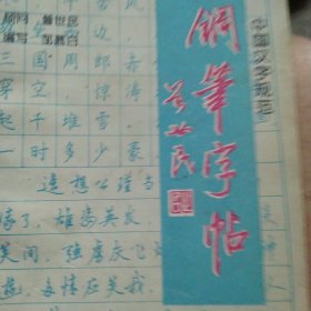 中国汉子规范 钢笔字帖