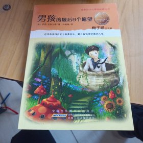 男孩的最后8个愿望