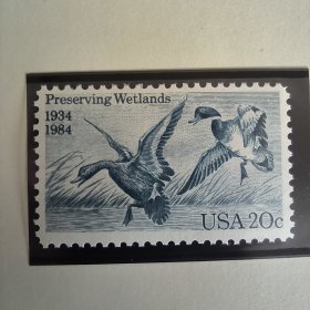 USA113美国邮票1984年水鸟保护法案50周年.野鸭 雕刻版外国邮票 新 1全