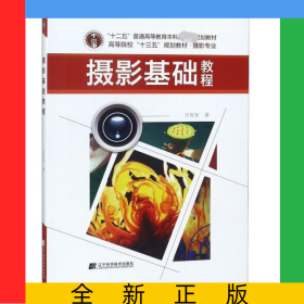 攝影基礎教程(攝影專業(yè)高等院校十三五規(guī)劃教材)