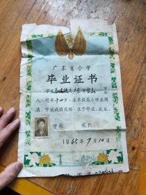 1965年广东省小学毕业证书