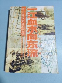 一江血水向东流 中日武汉大会战实录