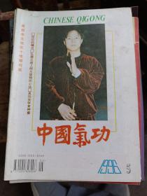 中国气功1996年第5期