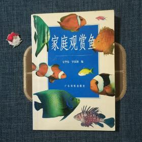 家庭观赏鱼