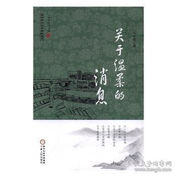 回族当代文学典藏丛书 杨宏峰作品：关于温柔的消息