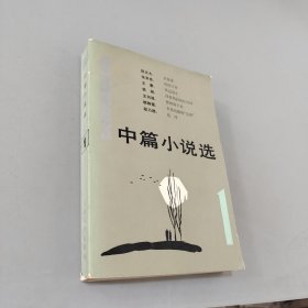 中篇小说选1