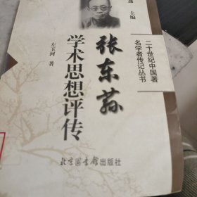 张东荪学术思想评传