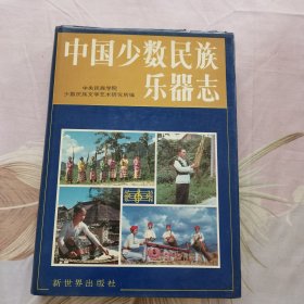 中国少数民族乐器志