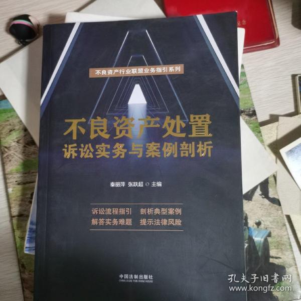 不良资产处置诉讼实务与案例剖析