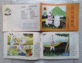 《小白兔种菜》1980年吉林人民出版社 彩色24开本连环画