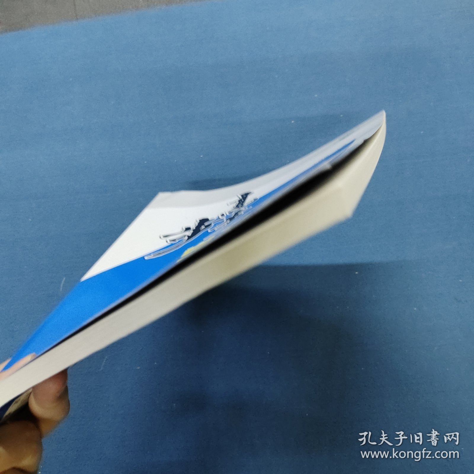 2025步步高学习笔记与晨读时光：语文，选择性必修，下册