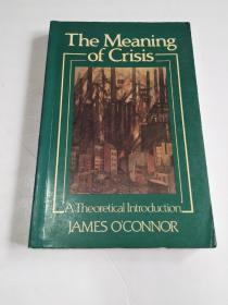 The Meaning of Crisis: A Theoretical Introduction