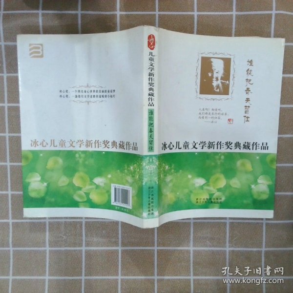 冰心儿童文学新作奖典藏作品：谁能把春天留住